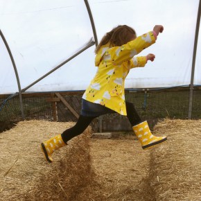 A week of smiles&nbsp;(#19)