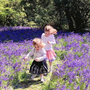 A week of smiles&nbsp;(#23)