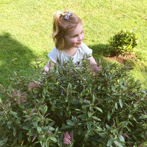 A week of smiles&nbsp;(#26)