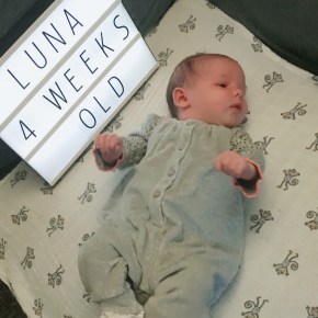 Luna – four weeks&nbsp;old