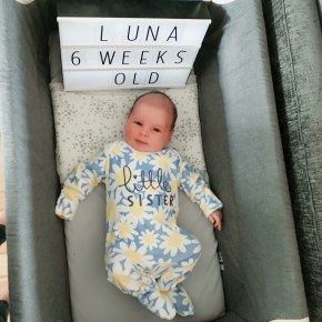 Luna – six weeks&nbsp;old